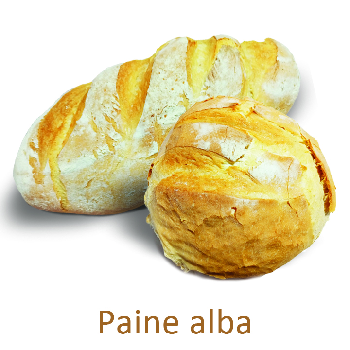 Paine